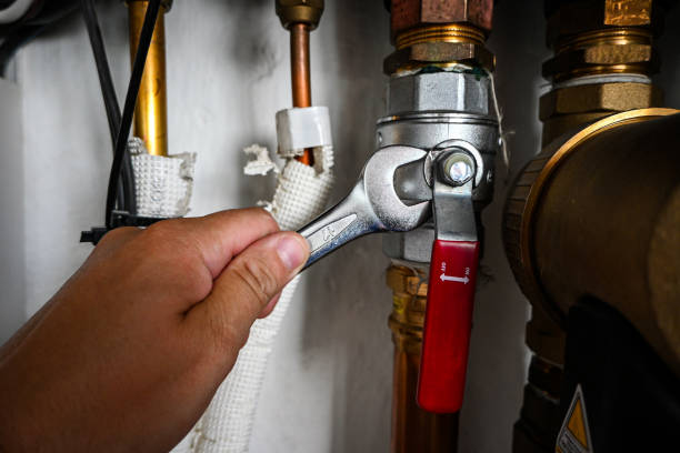 Best Clogged Drain Plumber  in Crockett, CA